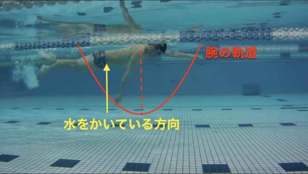 クロール ストローク 軌道が悪いと効率も落ちる Experiense