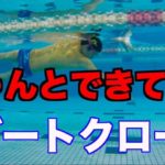 【初心者向け】2ビートキッククロールの泳ぎ方