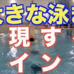 クロール 大きく泳ぐコツ【元水泳日本代表解説】