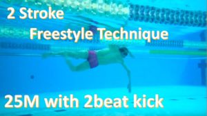 【25M2ストローク】クロール ストローク数【動画アリ】