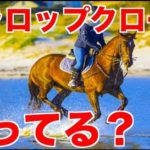 ギャロップクロールの泳ぎ方とは?【元水泳日本代表解説】