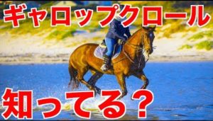 ギャロップクロールの泳ぎ方とは?【元水泳日本代表解説】